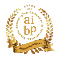 2020_Badge_AIBP_Members